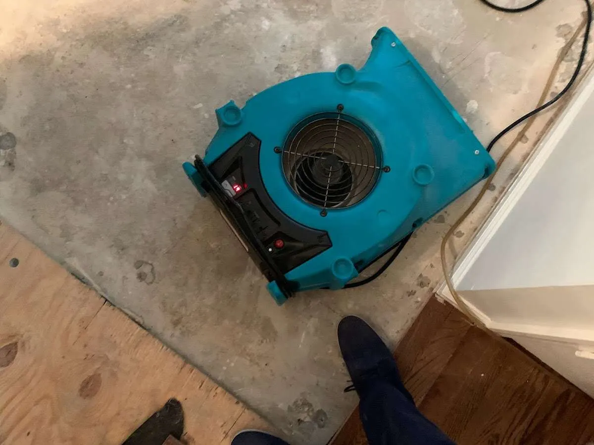 Air mover drying subfloor during Leak Detection & Repair in Elm Grove